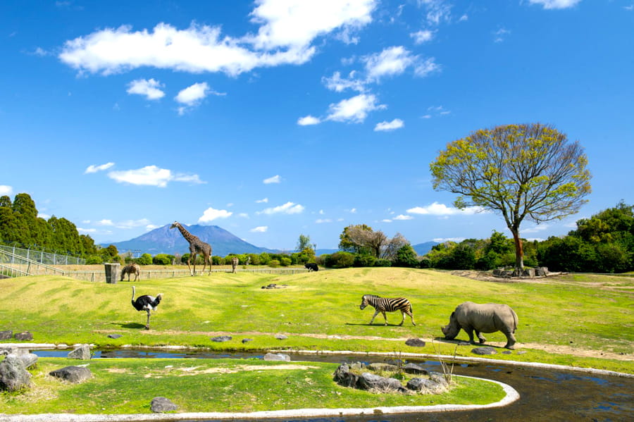 Hirakawa Zoo | tỉnh Kagoshima Nhật Bản