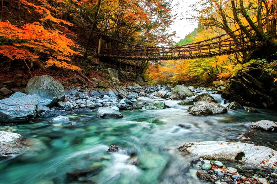 Tỉnh Tokushima Nhật Bản: Hành Hương Về Miền "đất Thánh"