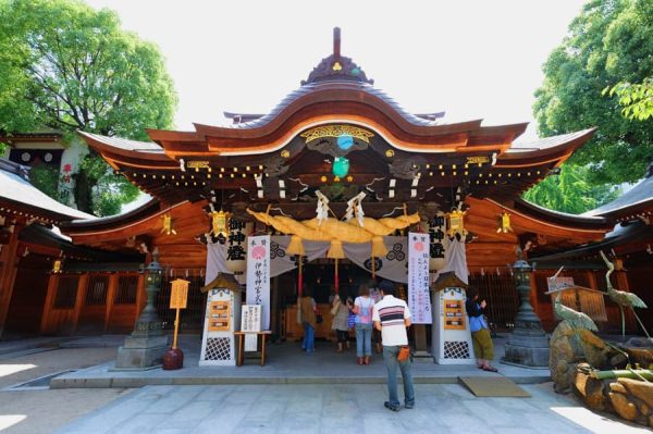 Top 7 địa điểm ngắm hoa từ đằng ở Fukuoka Nhật Bản Kushida-jinja Shrine (Đền Kushida) | Tỉnh Fukuoka Nhật Bản