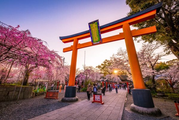Hành trình 7 ngày khám phá Nhật Bản tự túc và những trải nghiệm khó quên Thành phố Kyoto | Review 15 thành phố Nhật Bản