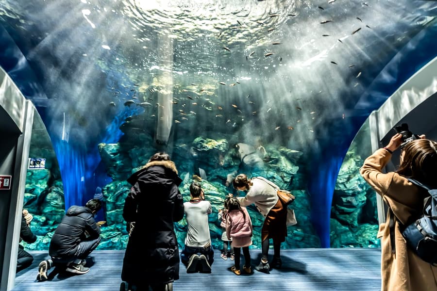 Marine World (Thủy cung Marine World) | Thành phố Fukuoka Nhật Bản