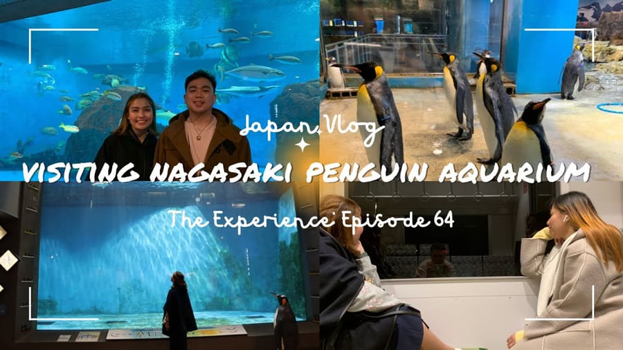 Nagasaki Penguin Aquarium | Tỉnh Nagasaki Nhật Bản