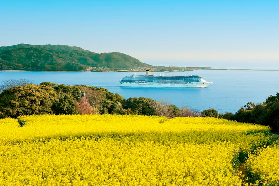 Nokonoshima island | Tỉnh Fukuoka Nhật Bản