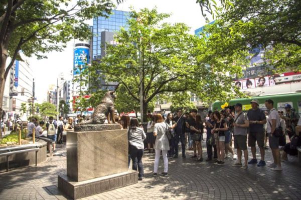 Hành trình du lịch Nhật Bản tự túc 14 ngày Khu Shibuya | Thành phố Tokyo Nhật Bản