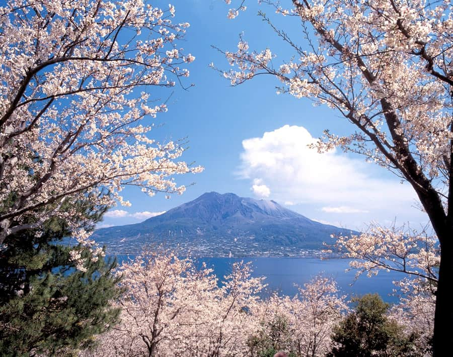 Tỉnh Kagoshima Nhật Bản: Kỳ Lạ với ngọn núi lửa nghìn năm