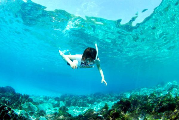 Tỉnh Kochi Nhật Bản: "Thiên đường" Rượu Sake Nhật Bản