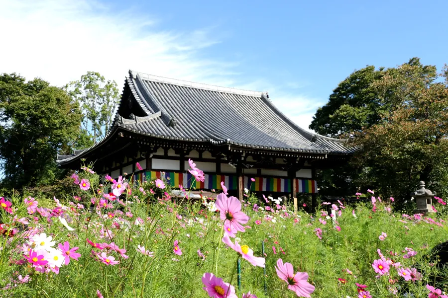 Hannya Ji Temple - Chùa Hannya ji | Thành phố Nara Nhật Bản