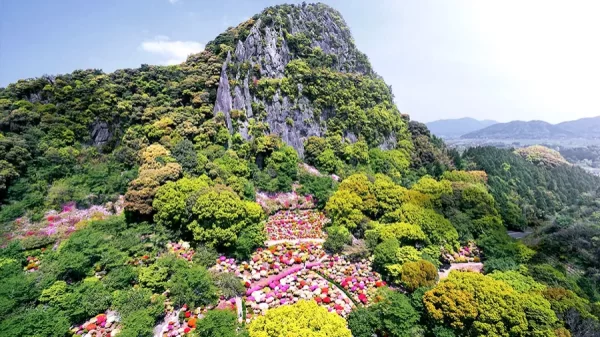 Vườn hoa Mifuneyama Rakuen | Tỉnh Saga Nhật Bản