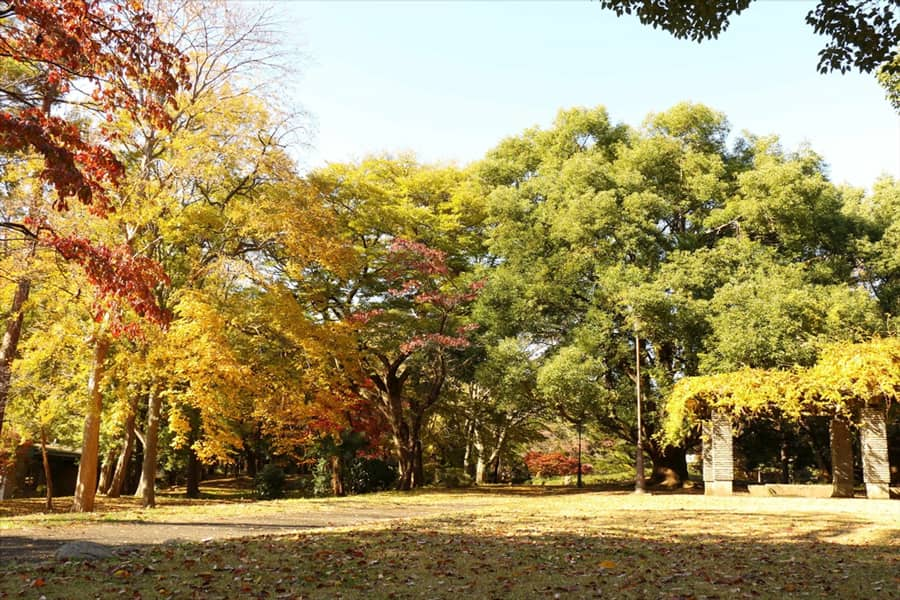 Omiya Park - Công viên Omiya | Thành phố Saitama Nhật Bản