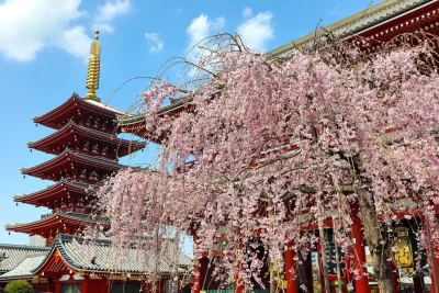 Chùa Sensoji Temple: Ngôi chùa cổ đầy bí ẩn ở Tokyo Nhật Bản