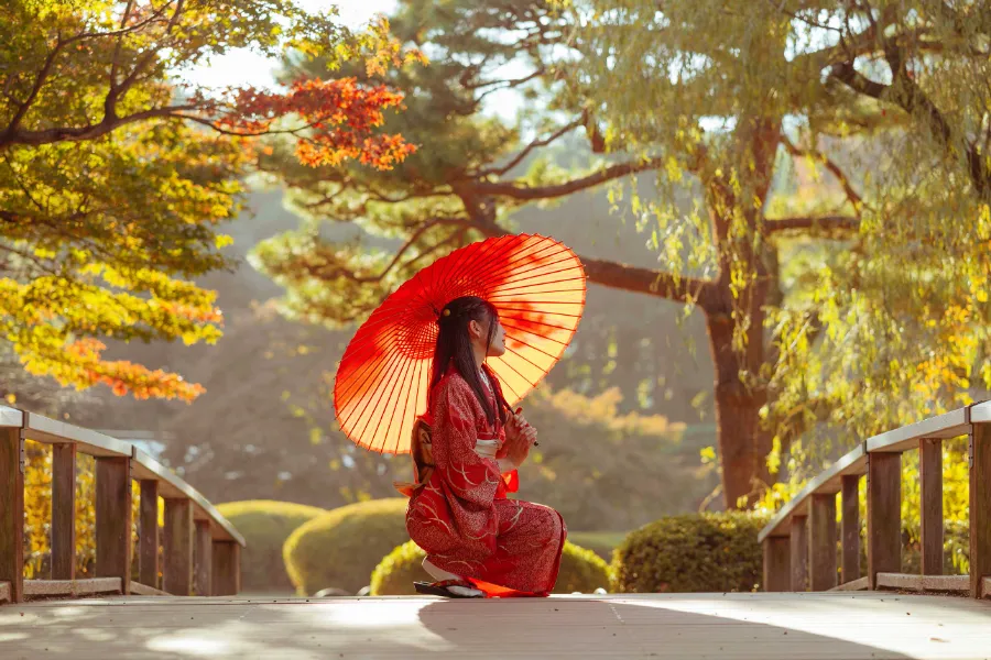 Shinjuku Gyoen: Công viên quốc gia có 1.000 cây anh đào