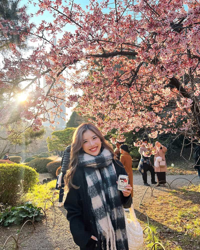 Shinjuku Gyoen: Công viên quốc gia có 1.000 cây anh đào