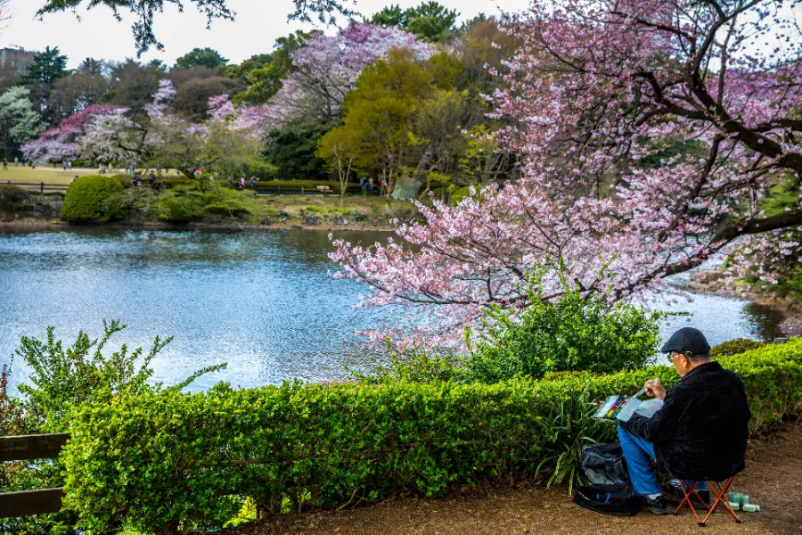 Shinjuku Gyoen: Công viên quốc gia có 1.000 cây anh đào