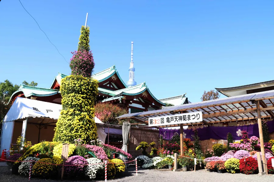 Shinjuku Gyoen: Công viên quốc gia có 1.000 cây anh đào