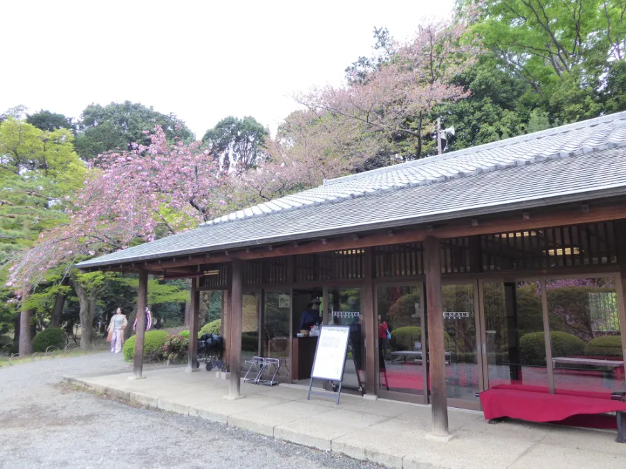 Shinjuku Gyoen: Công viên quốc gia có 1.000 cây anh đào