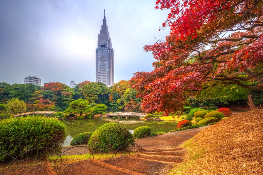 Shinjuku Gyoen: Công viên quốc gia có 1.000 cây anh đào