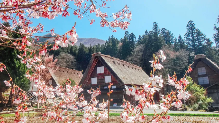 Tour Shirakawago - Tokyo - Gifu - Toyama - Osaka (6N5Đ)