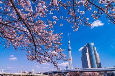 Ký sự chinh phục Tokyo Skytree - Tháp truyền hình cao 634m