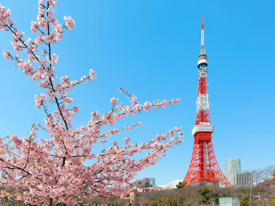 Tháp Tokyo Tower: Ôm trọn cảnh đêm huyền ảo từ độ cao 250m