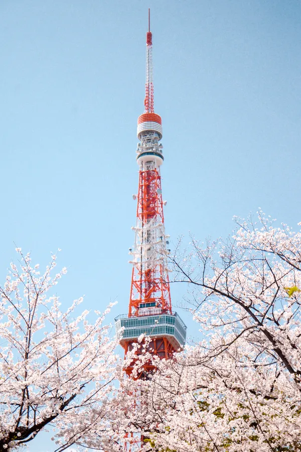 Tháp Tokyo Tower: Ôm trọn cảnh đêm huyền ảo từ độ cao 250m