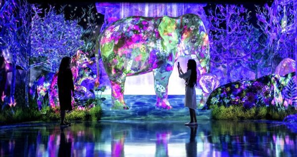 TeamLab Forest Fukuoka | Thành phố Fukuoka Nhật Bản