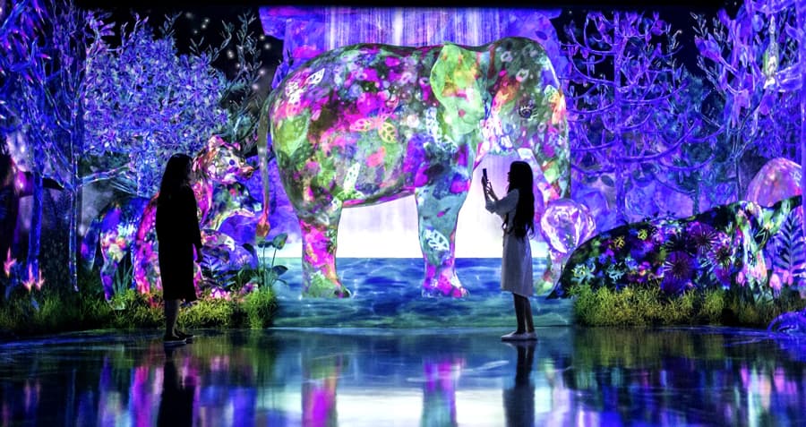 TeamLab Forest Fukuoka | Thành phố Fukuoka Nhật Bản