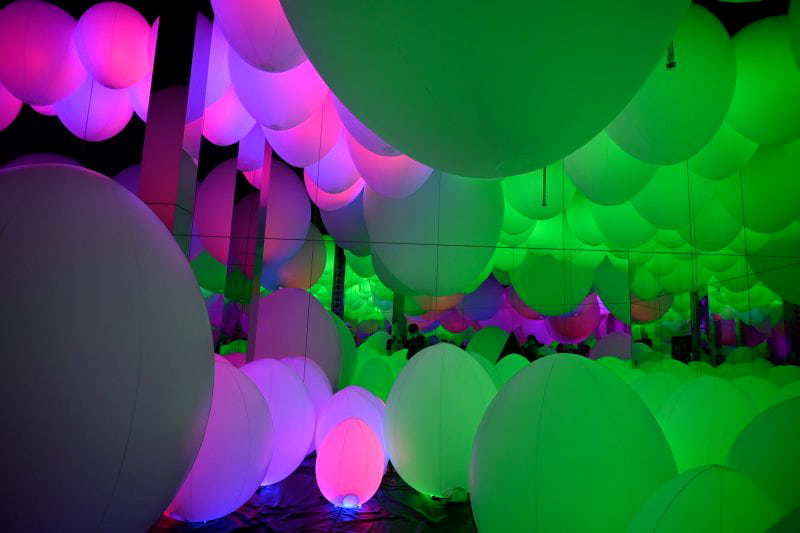 TeamLab Forest Fukuoka | Thành phố Fukuoka Nhật Bản