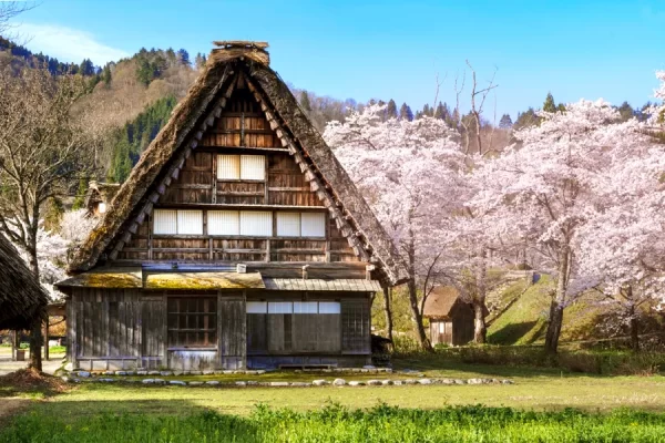 Tour Shirakawago - Tokyo - Gifu - Toyama - Osaka (6N5Đ)