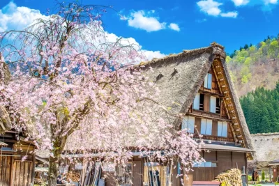 Tour Shirakawago - Tokyo - Gifu - Toyama - Osaka (6N5Đ)