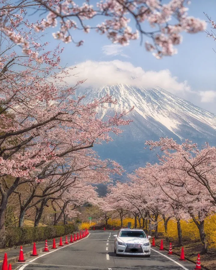 Núi Phú Sĩ - Ngắm trọn vẻ đẹp hùng vĩ của Mount Fuji