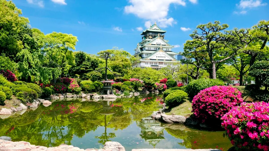 Lâu Đài Osaka - Ngắm hoa anh đào tại thành cổ Osaka Castle