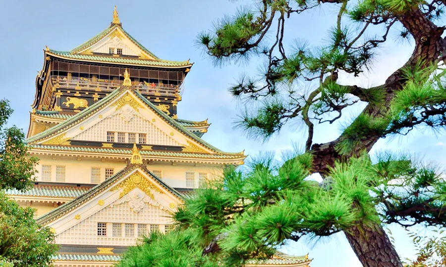 Lâu Đài Osaka - Ngắm hoa anh đào tại thành cổ Osaka Castle