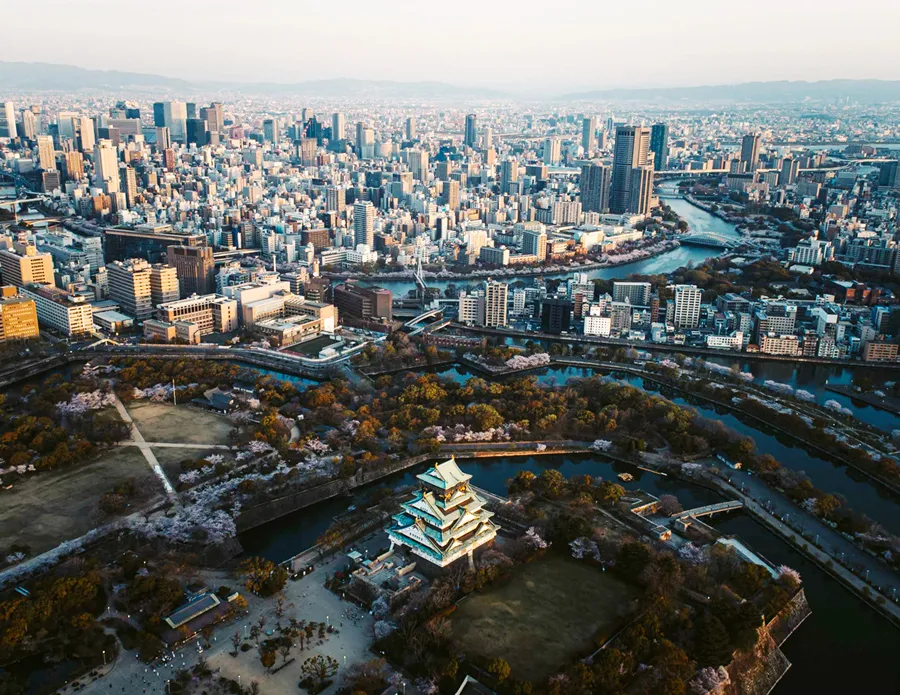 Lâu Đài Osaka - Ngắm hoa anh đào tại thành cổ Osaka Castle