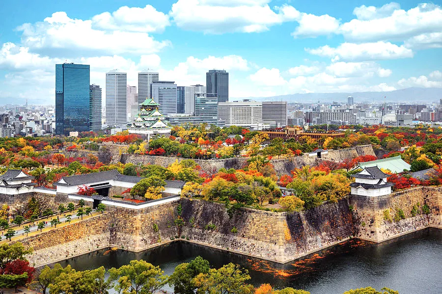 Lâu Đài Osaka - Ngắm hoa anh đào tại thành cổ Osaka Castle