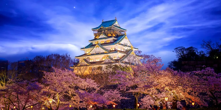 Lâu Đài Osaka - Ngắm hoa anh đào tại thành cổ Osaka Castle