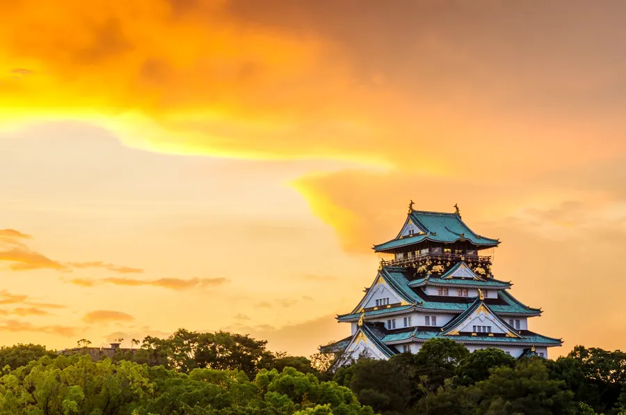 Lâu Đài Osaka - Ngắm hoa anh đào tại thành cổ Osaka Castle