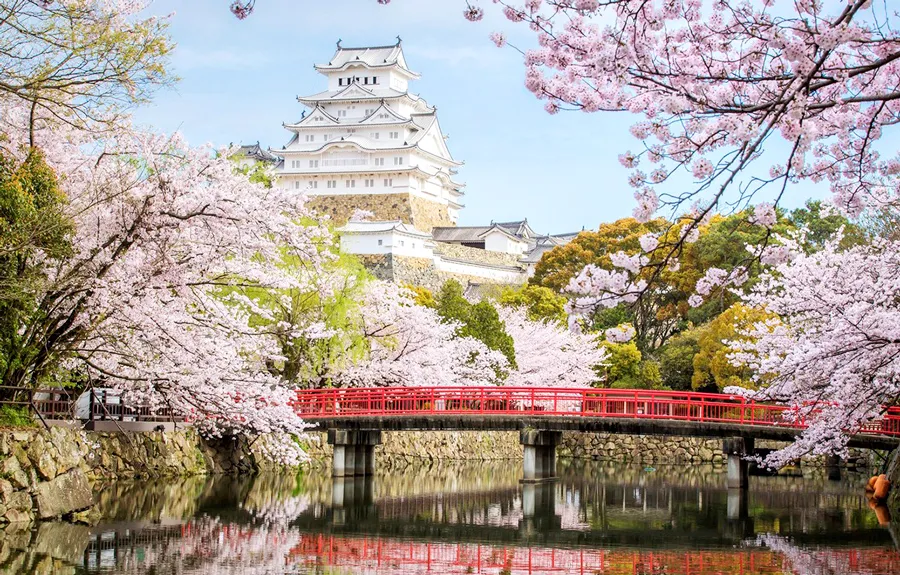 Lâu Đài Osaka - Ngắm hoa anh đào tại thành cổ Osaka Castle