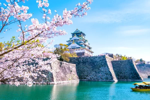 Lâu Đài Osaka - Ngắm hoa anh đào tại thành cổ Osaka Castle