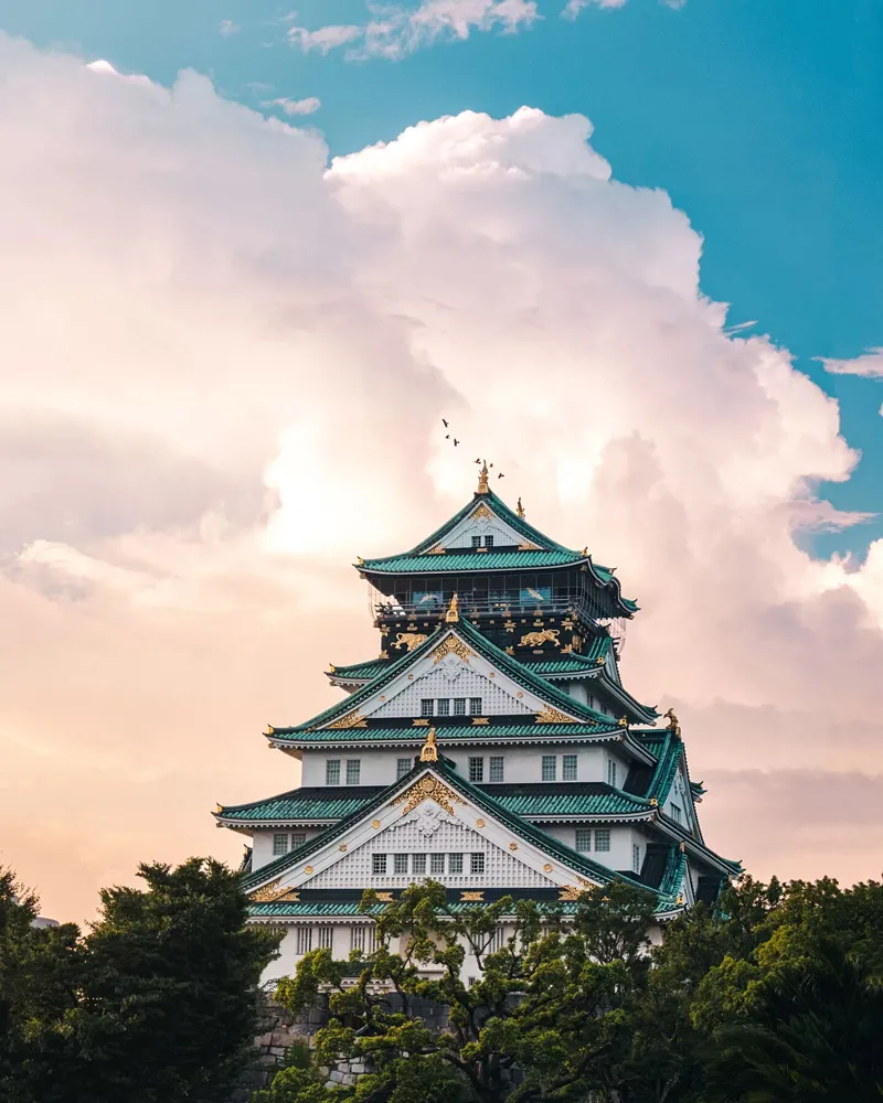 Lâu Đài Osaka - Ngắm hoa anh đào tại thành cổ Osaka Castle