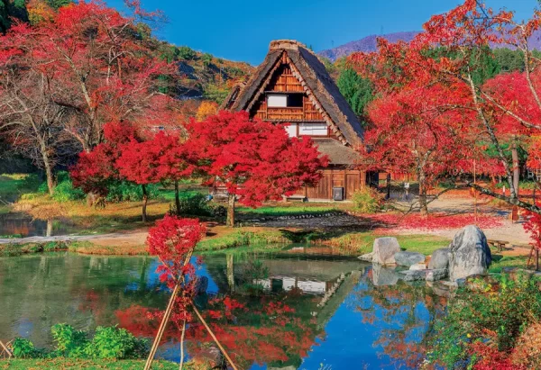 Làng cổ shirakawago mùa thu | Cảnh đẹp Nhật Bản mùa thu