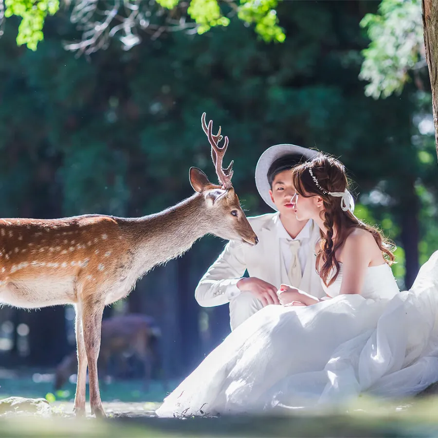 Công viên Nara - Chơi đùa cùng những chú nai tại Nara Park