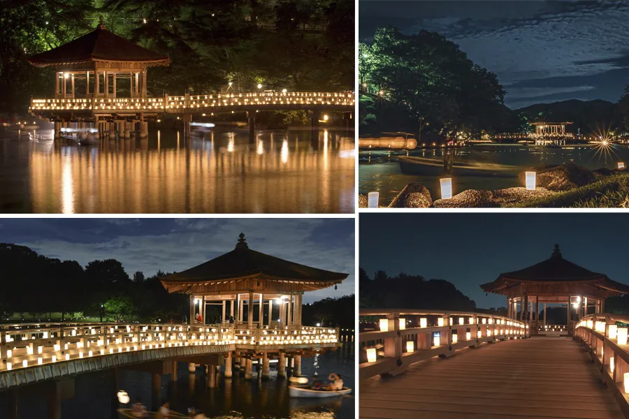 Lễ hội Nara Tokae - Nara Park