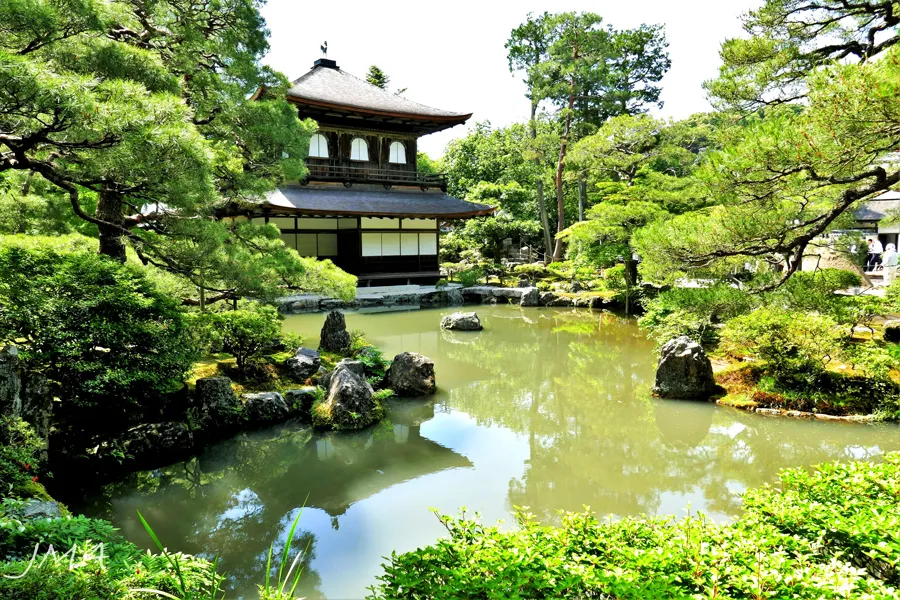 Chùa vàng Kinkakuji - Khám phá bí ẩn của ngôi chùa dát vàng ở Kyoto Chùa vàng Kinkakuji: Vẻ đẹp của ngôi chùa dát vàng ở Kyoto
