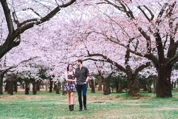 Hành trình du lịch Nhật Bản tự túc 14 ngày Review công viên Yoyogi - Điểm Ngắm hoa anh đào tại Tokyo