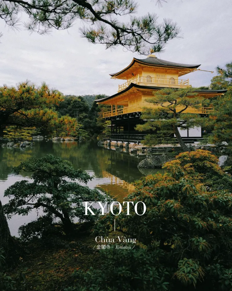 Chùa vàng Kinkakuji - Khám phá bí ẩn của ngôi chùa dát vàng ở Kyoto Chùa vàng Kinkakuji: Vẻ đẹp của ngôi chùa dát vàng ở Kyoto