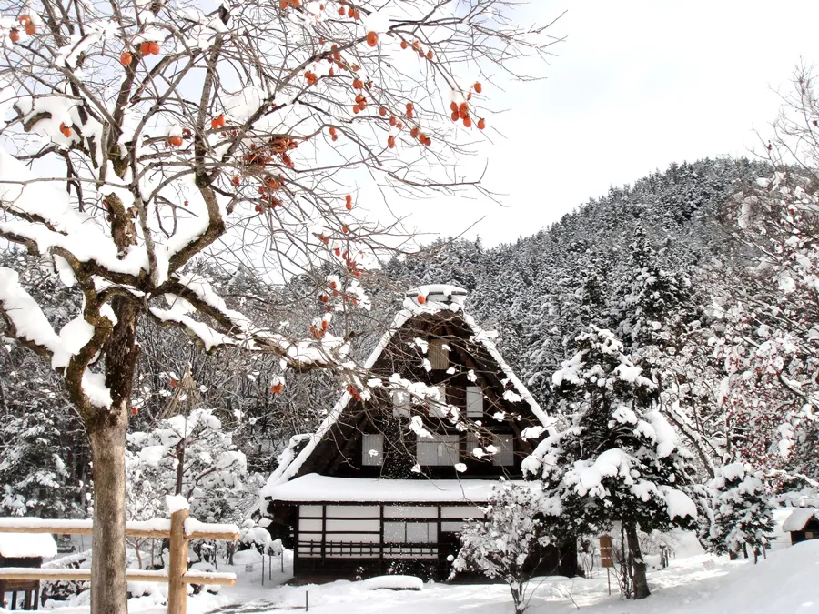 Làng cổ Takayama - Tiểu Kyoto của Gifu