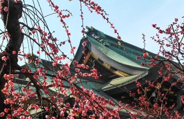 Vẻ đẹp linh thiêng của đền Osaka Tenmangu 1000 năm tuổi