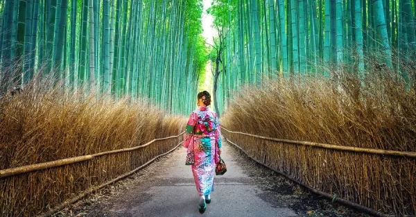Arashiyama Bamboo Forest: Check-in Rừng Tre Sagano ở Kyoto