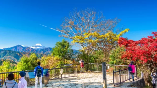 Top 25 địa điểm ngắm mùa lá đỏ Nhật Bản đẹp “mê hồn”