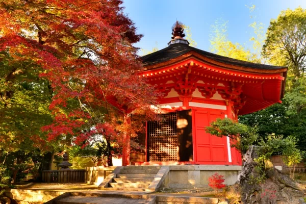 Tofukuji Temple: Vẻ đẹp yên bình của ngôi chùa Thiền viện